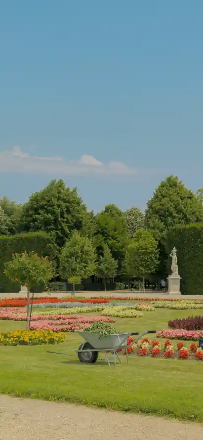 4k园林壁纸 - 树 - 晴朗 - 松树「哲风壁纸」