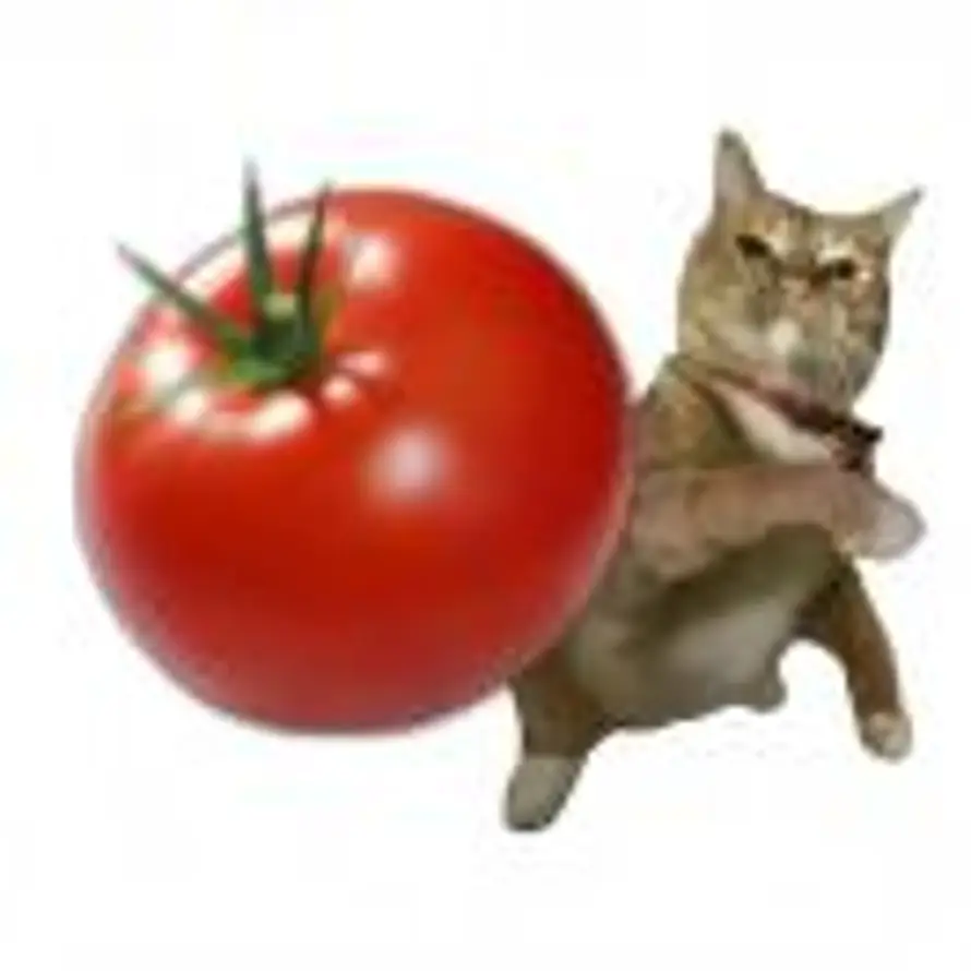 最强突变无敌暴龙🦖的头像