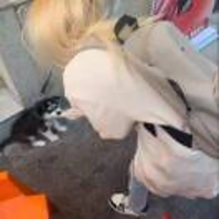 别管我了的头像