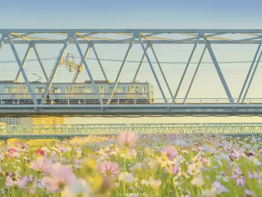 4k列车壁纸-空中地铁 - 户外-高架铁桥热门的壁纸「哲风壁纸」