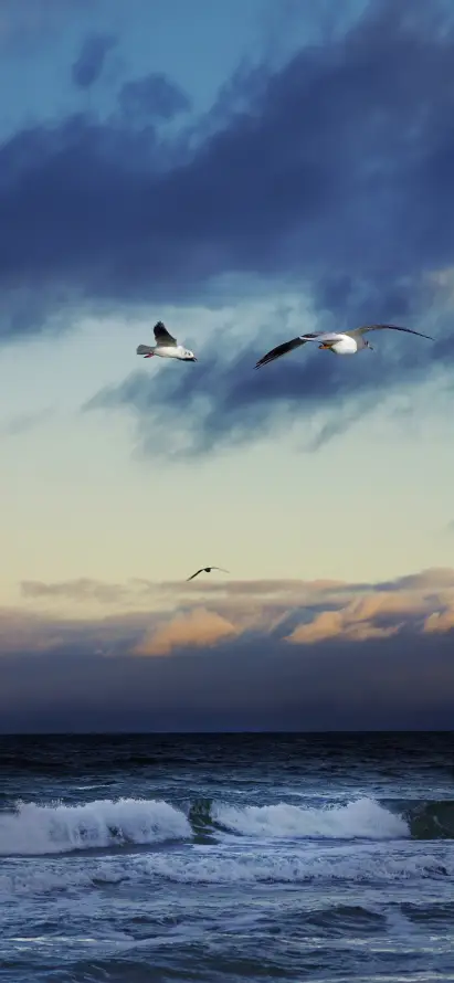 4k云彩壁纸 - 天空 - 日落 - 晚霞「哲风壁纸」