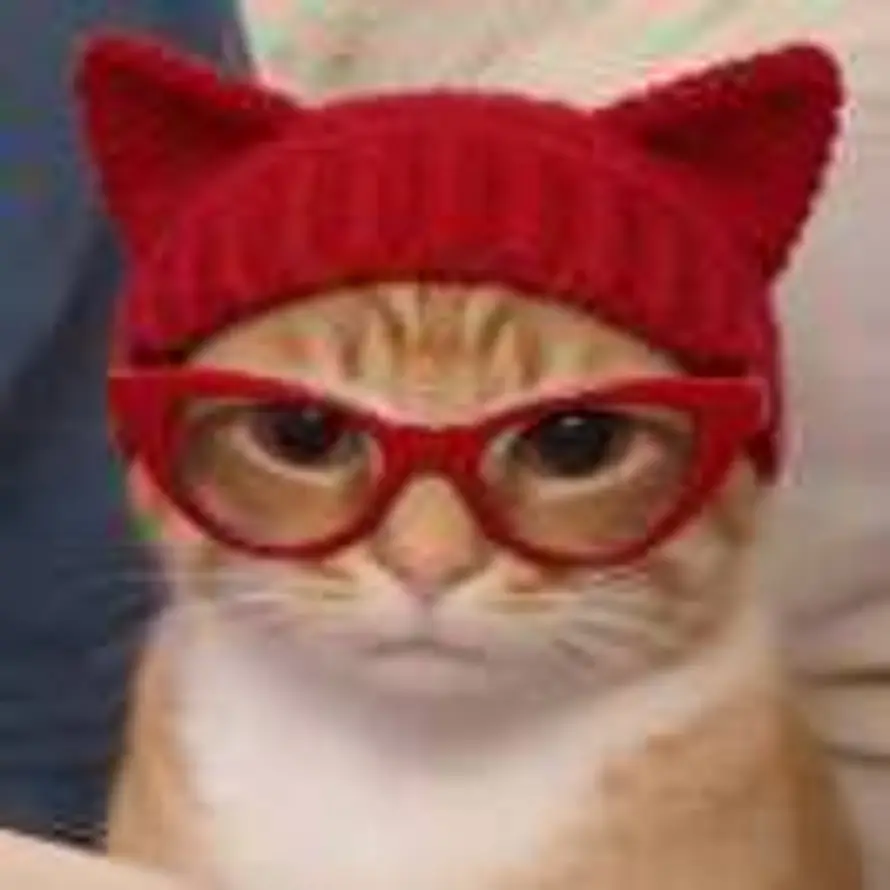 雪糕栗子味🍀的头像