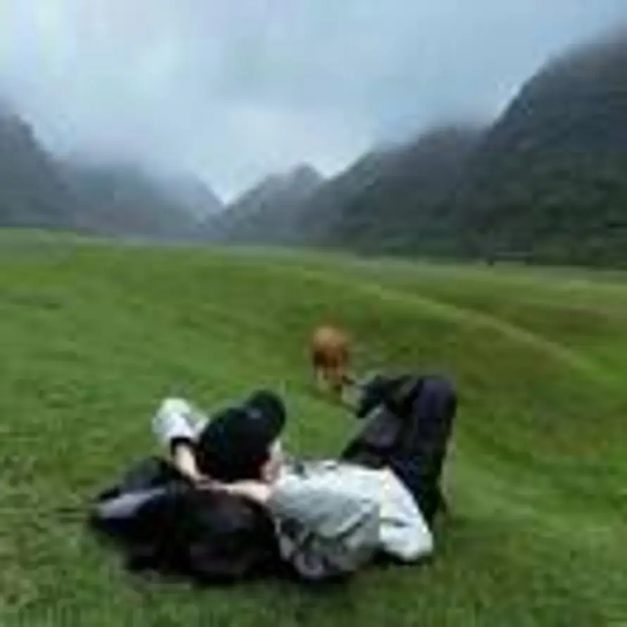 🍂 辰秋的头像