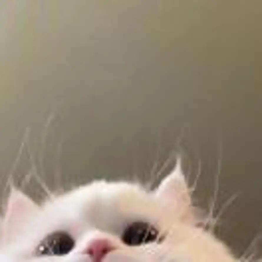 ᥴꪑ᥊ ·ᰔᩚ的头像