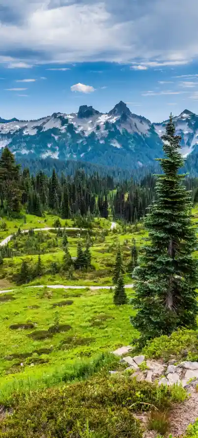 4k小径壁纸 - 山地 - 手机 - 森林「哲风壁纸」