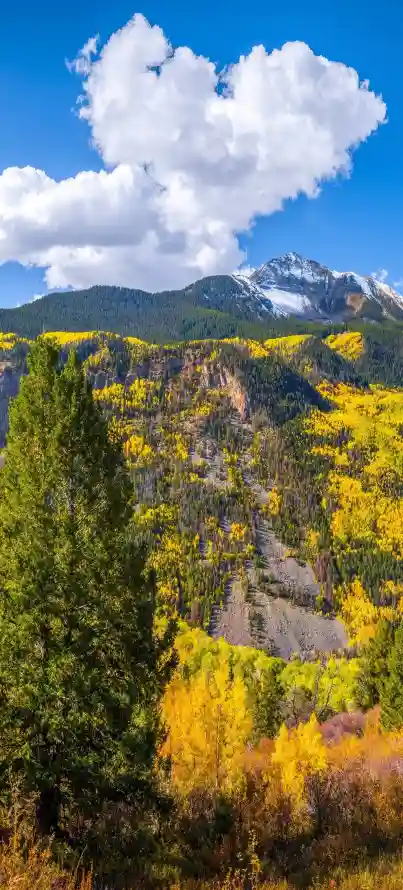4k山脉壁纸 - 峡谷 - 森林 - 白云「哲风壁纸」