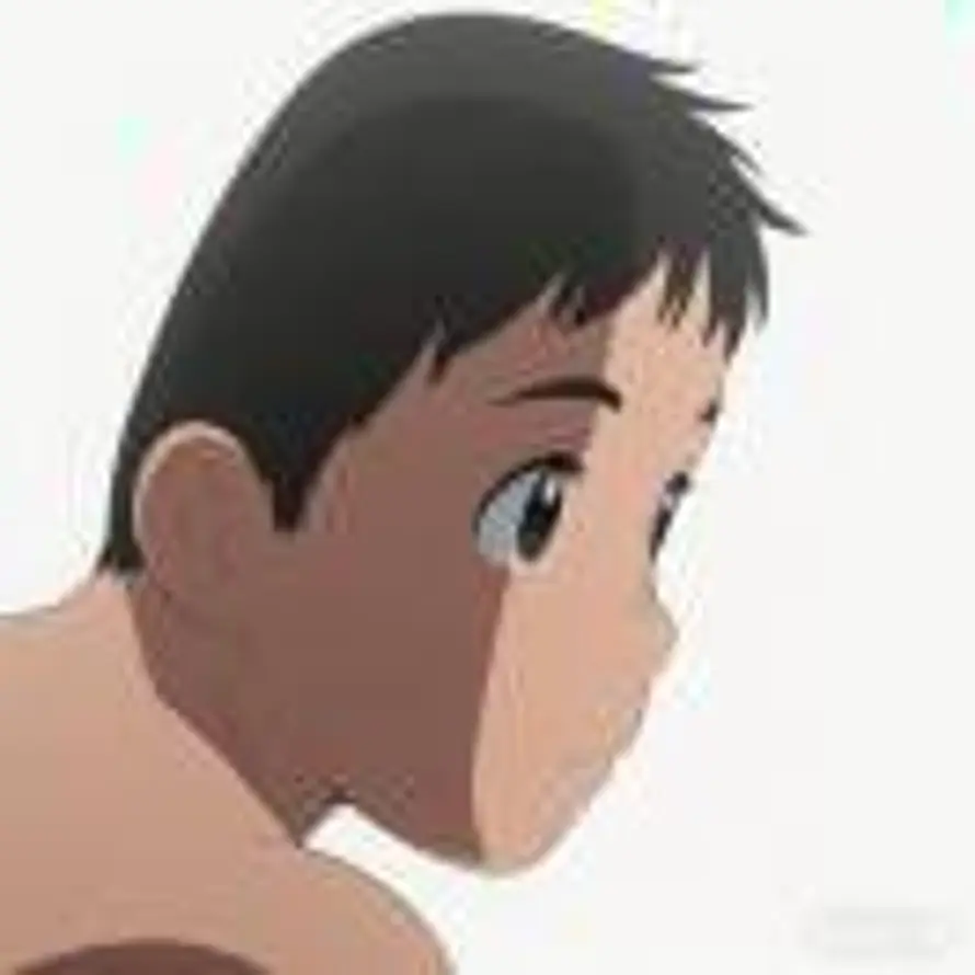 呆子的头像