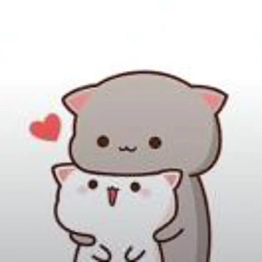 用户三木的头像