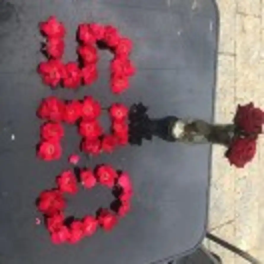 黑暗创世神 的头像