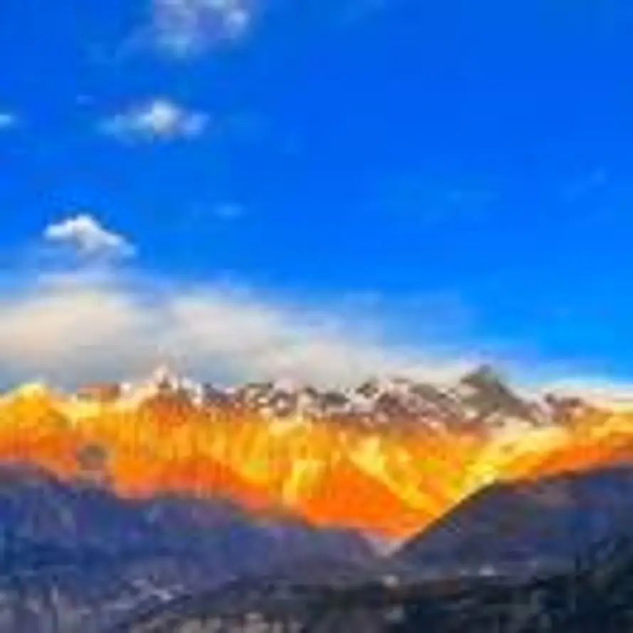 侧耳倾听的头像