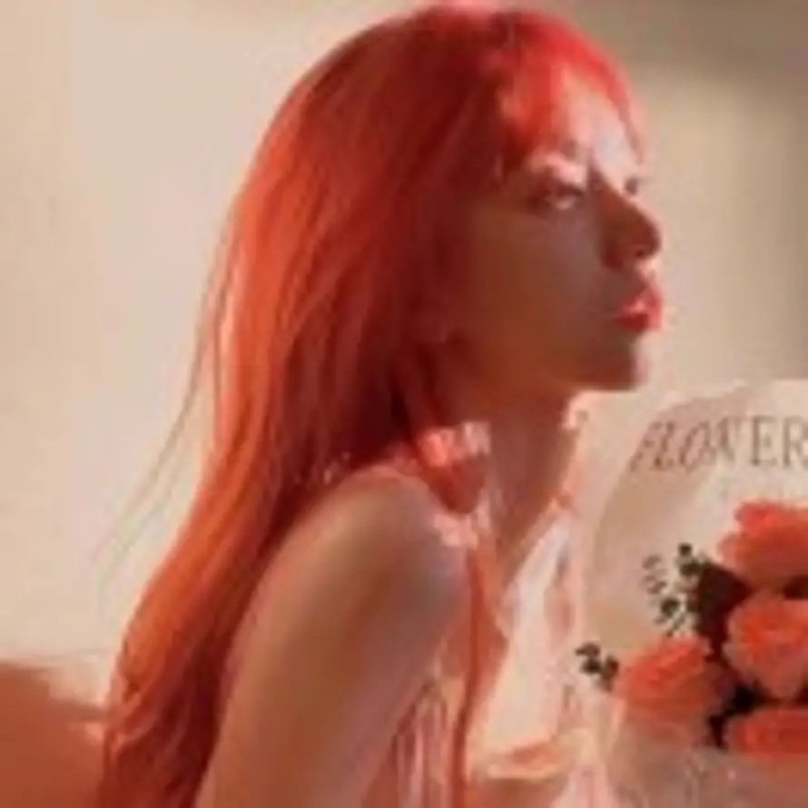 🐱橘猫不是猪的头像