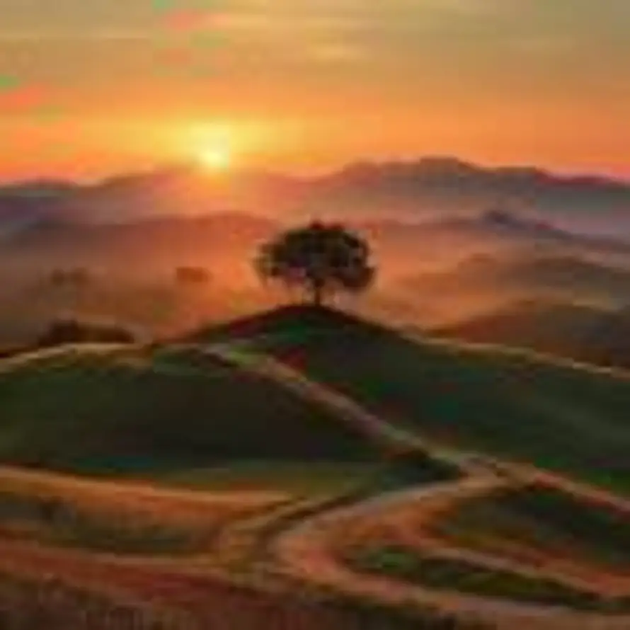 当时明月在的头像