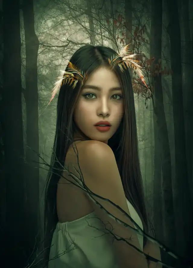 4k幽暗壁纸 - 树林 - 森系 - 精灵「哲风壁纸」