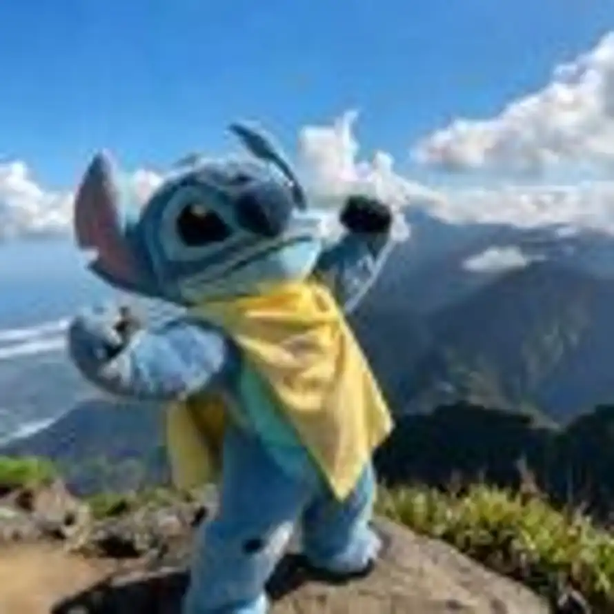 Serein的用户头像 - 哲风壁纸