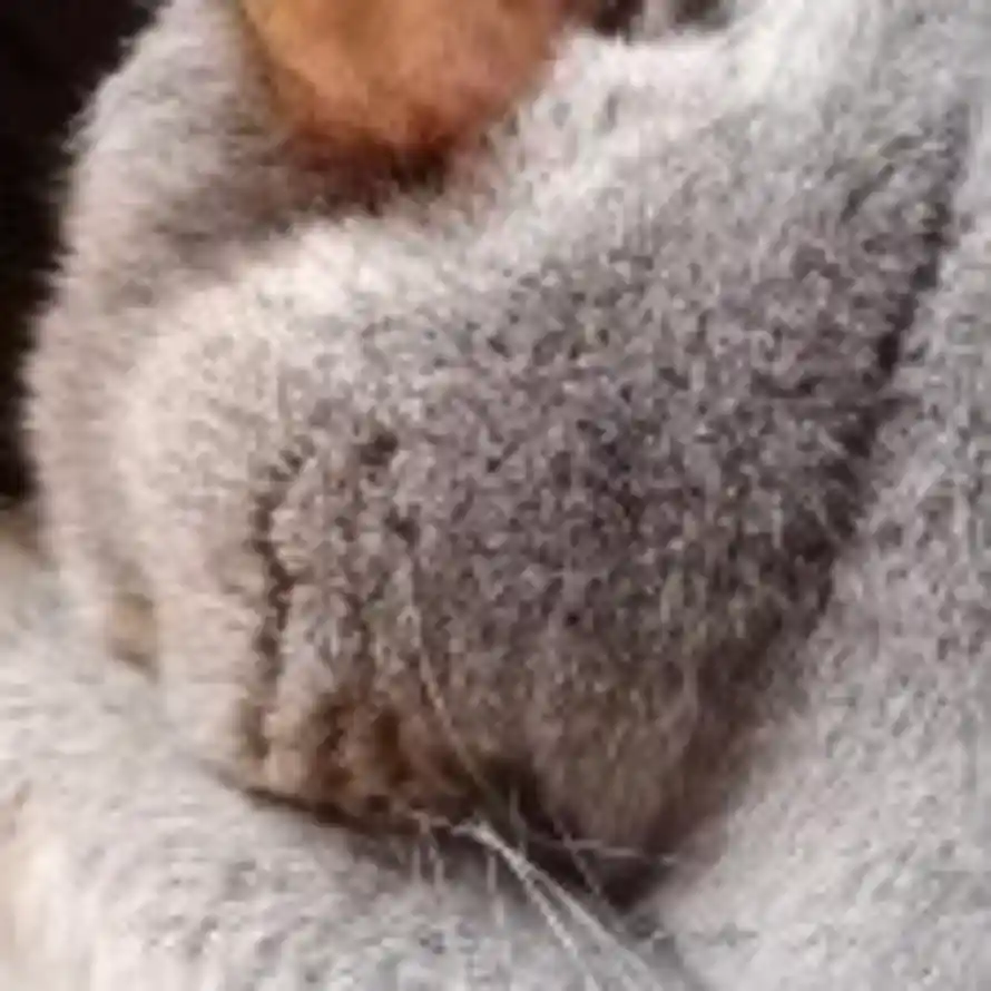 再长五厘米的头像