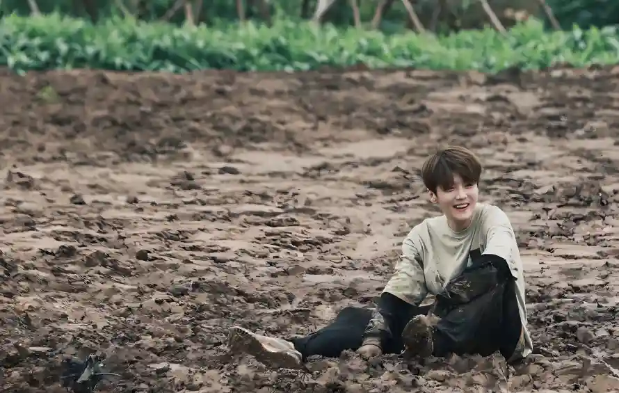 5k五哈壁纸-浅色上衣和农田-黑色裤子壁纸推荐「哲风壁纸」