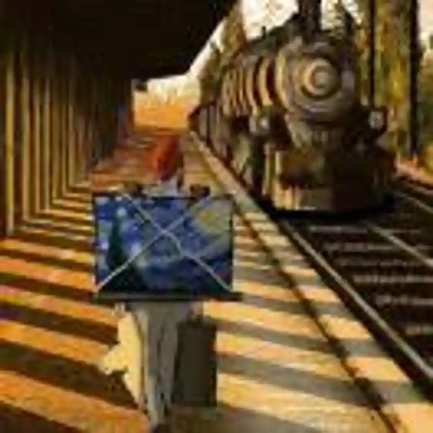 Mr.Wang🐳的头像