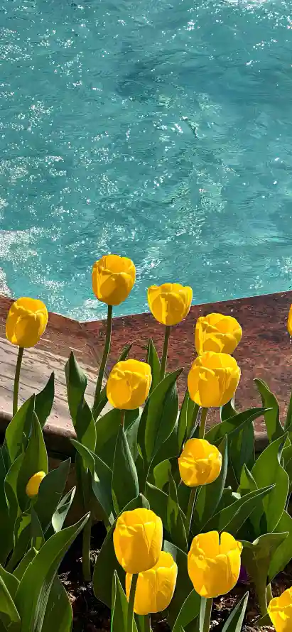 4k岸边壁纸 - 春日 - 海水 - 海滨「哲风壁纸」