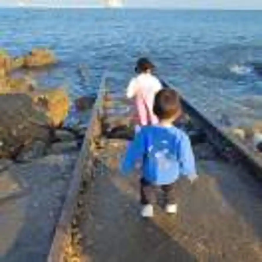 峕馗薖愘的头像