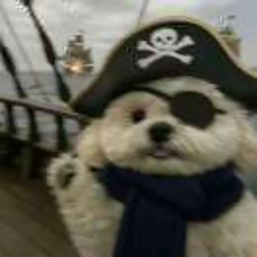 X的用户头像 - 哲风壁纸