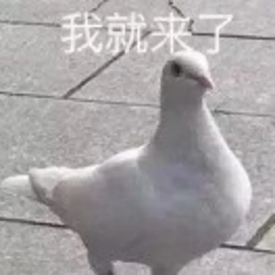 咕咕咕的头像