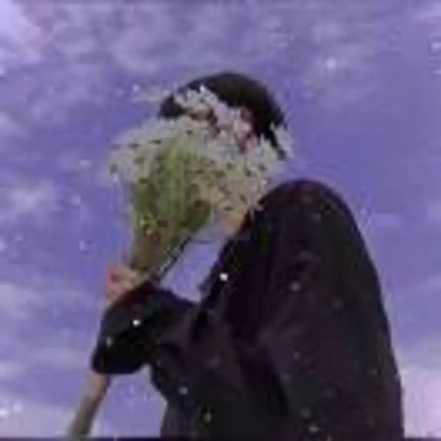 强风吹拂的头像