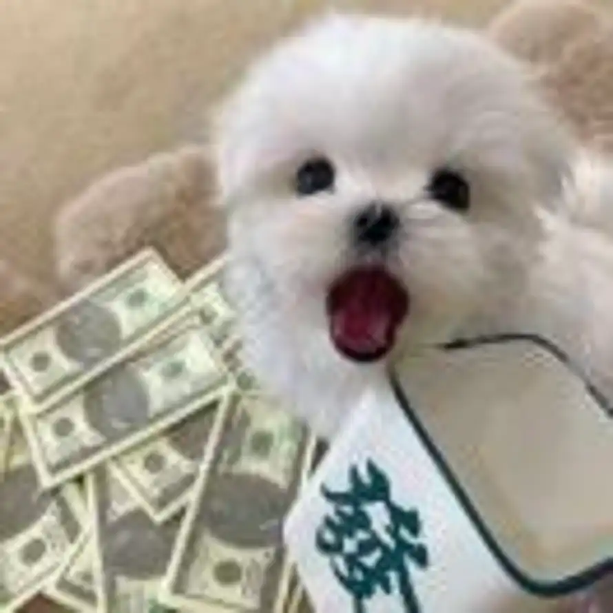 北的头像