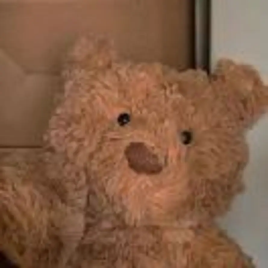 ㅤㅤㅤㅤㅤㅤ的头像