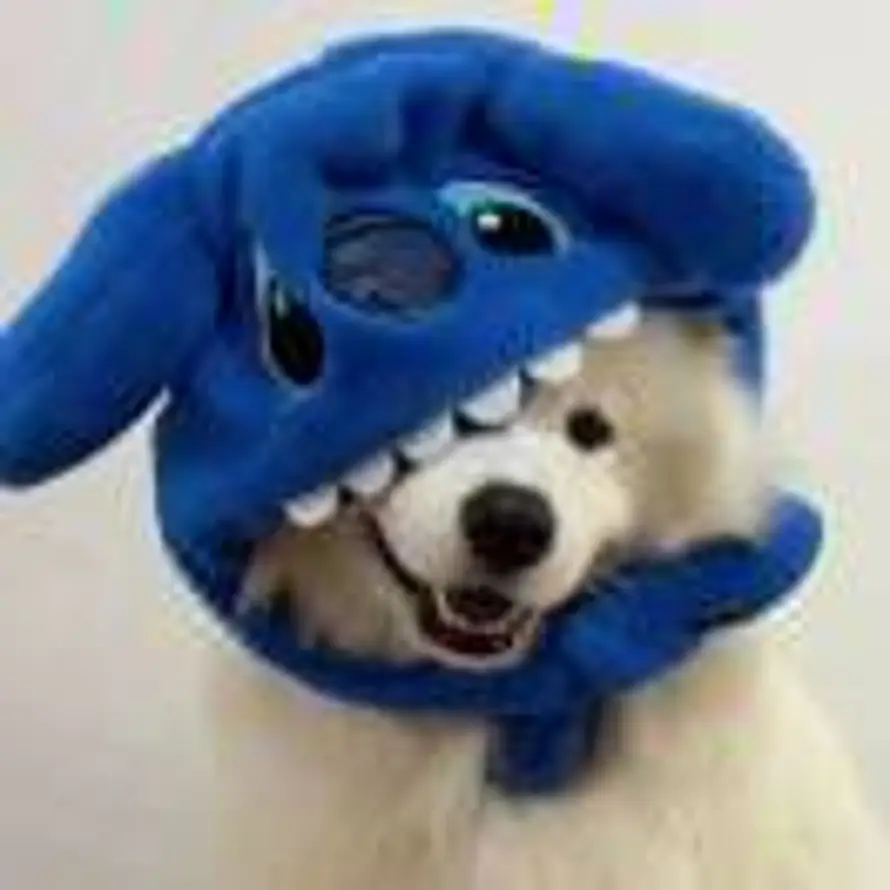 Hᴏᴍᴇᴛᴏᴡɴ的头像
