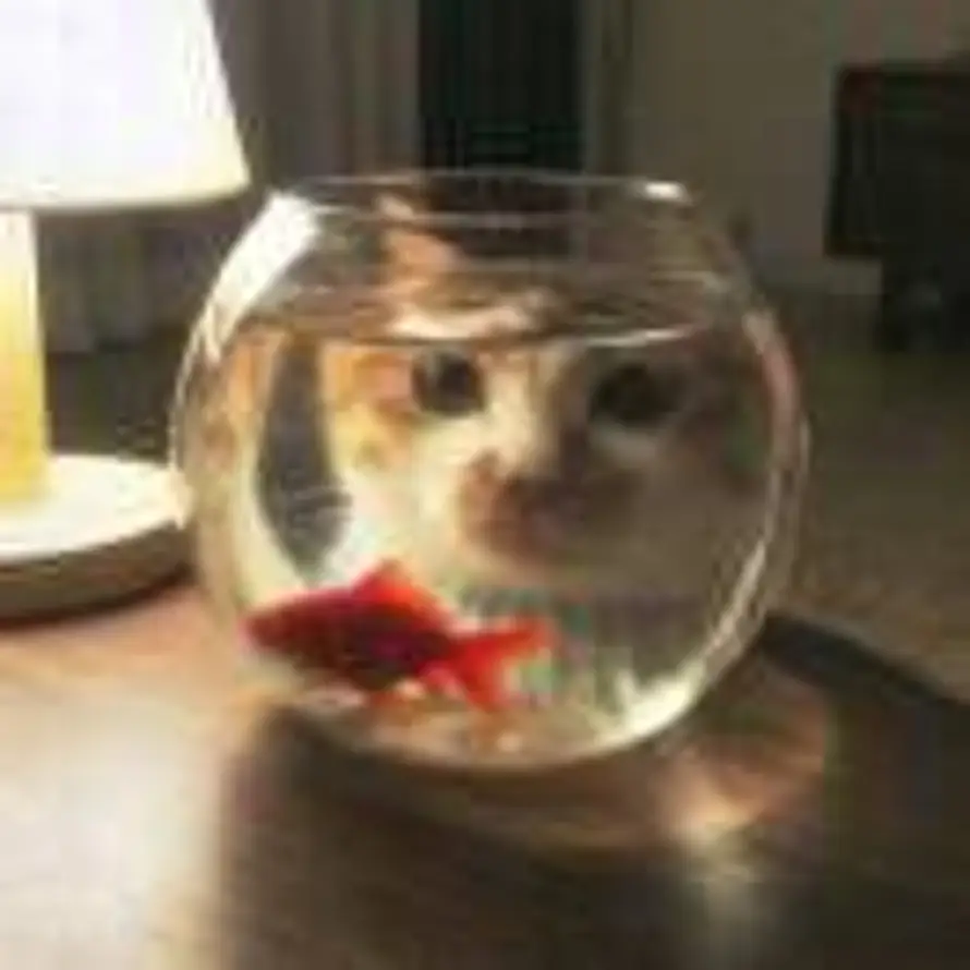 旺哉咲馒头的头像