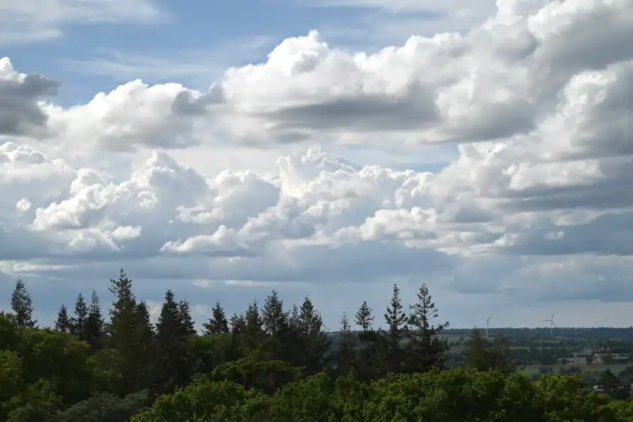 4k户外壁纸 - 云 - 晴天 - 树木「哲风壁纸」 4k户外壁纸 - 云 - 晴天 - 树木「哲风壁纸」