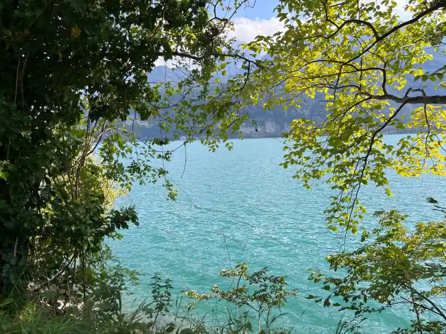 4k户外壁纸-远山和绿色-免费下载「哲风壁纸」