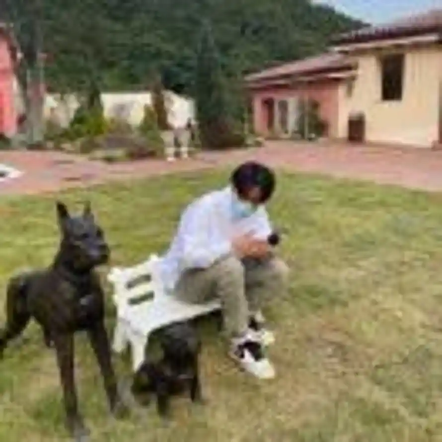 ⚡  B   Z   B ⚡的头像