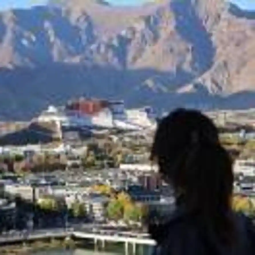 风禾尽起的头像