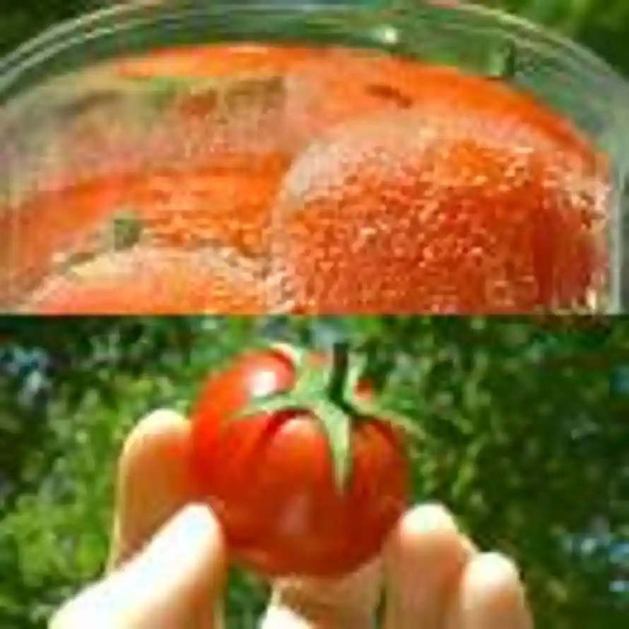 紙鹤ꦿ໊ོ༊的头像