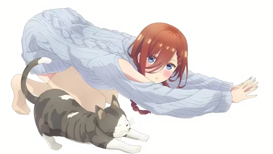 4k少女壁纸 - 灰猫 - 猫咪 - 二次元「哲风壁纸」