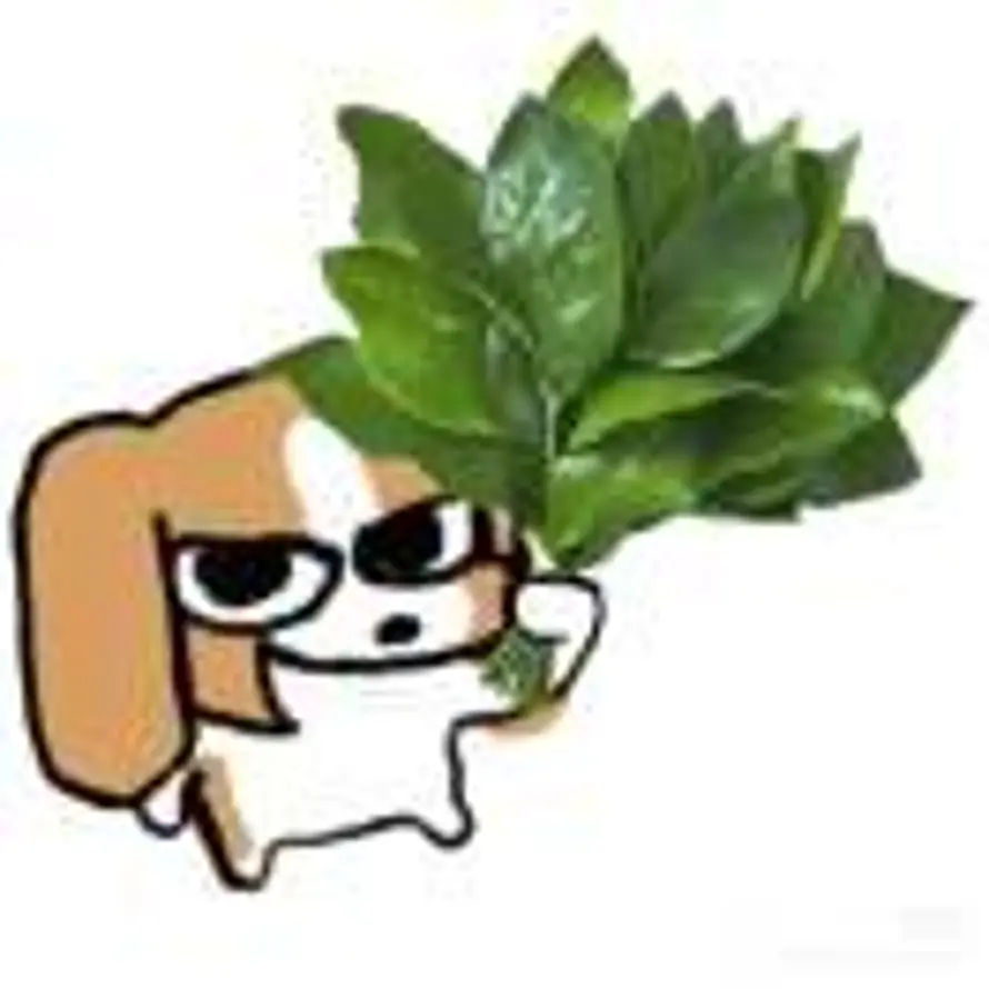 🧐的头像