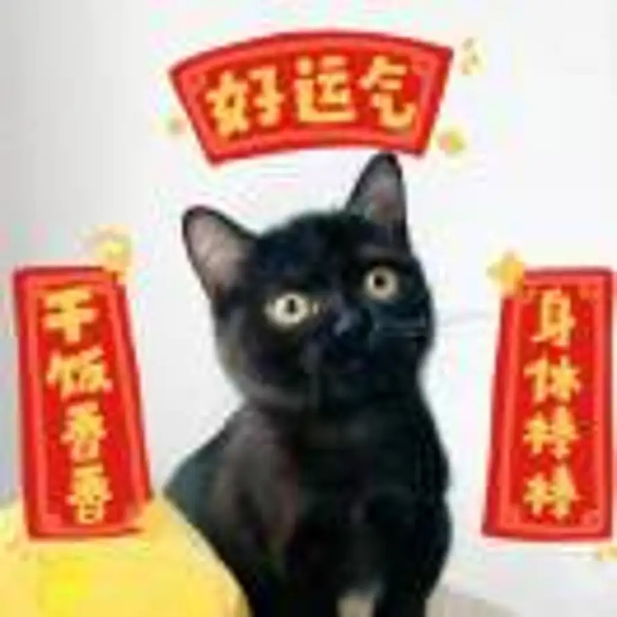 归禾有好物的头像