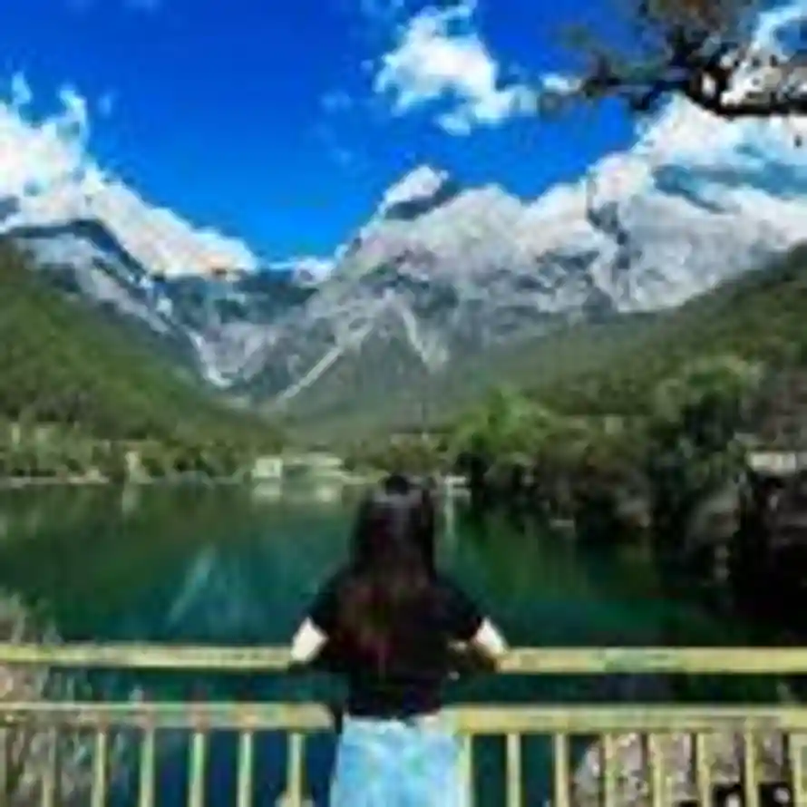 大阿欣！的头像