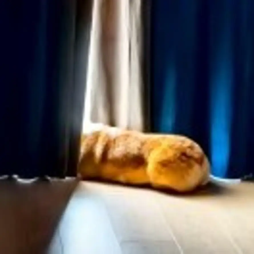 Thinker dog的头像