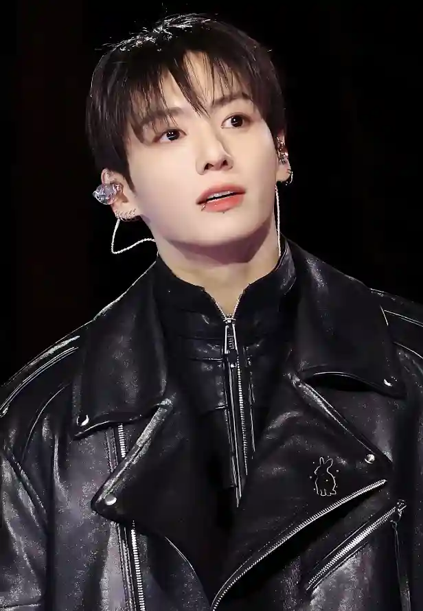 4k皮衣壁纸 - 耳返 - 耳钉 - 舞台「哲风壁纸」