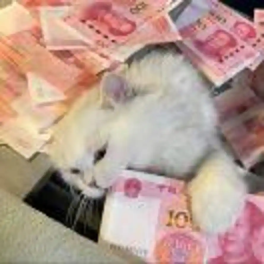 k的果铺🍊的头像