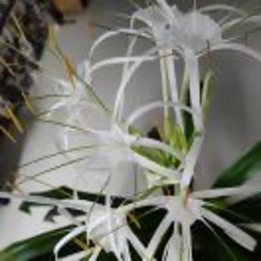 何以忘忧的头像