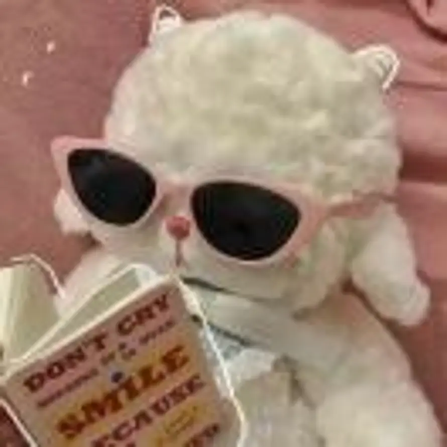 楠西楠西的头像