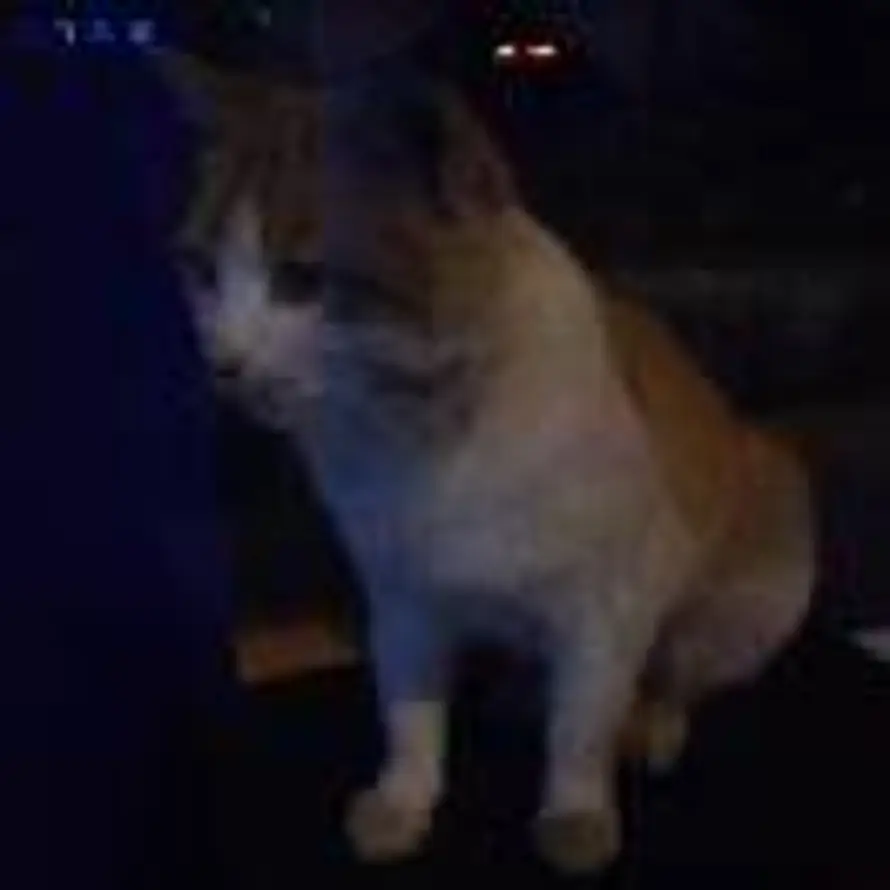 💎🎖🥇🏆💎🌊🌊🌊的头像