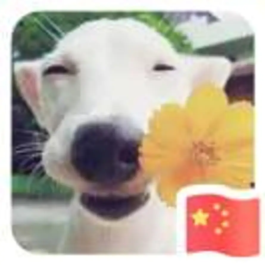 知行合一的头像