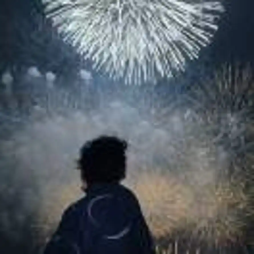 笨蛋总是牛眼泪的头像