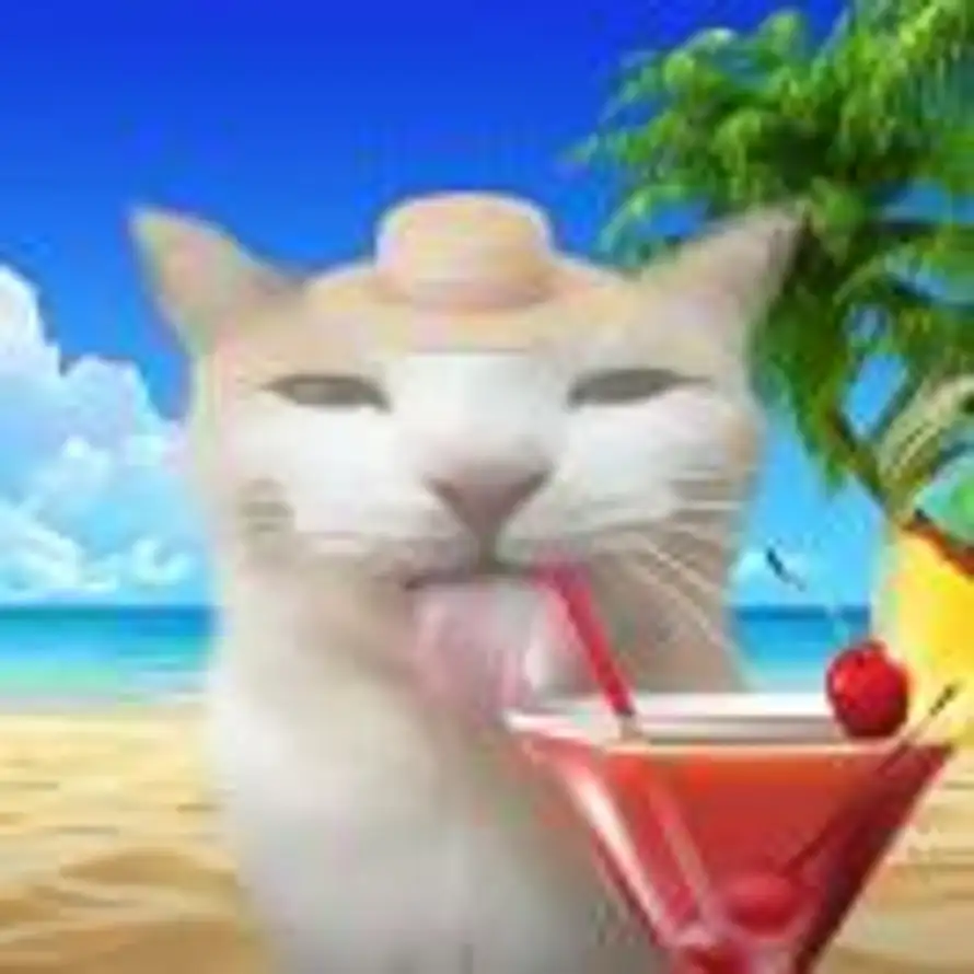 海拉鲁蘑菇批发商-苹咕🍎的头像