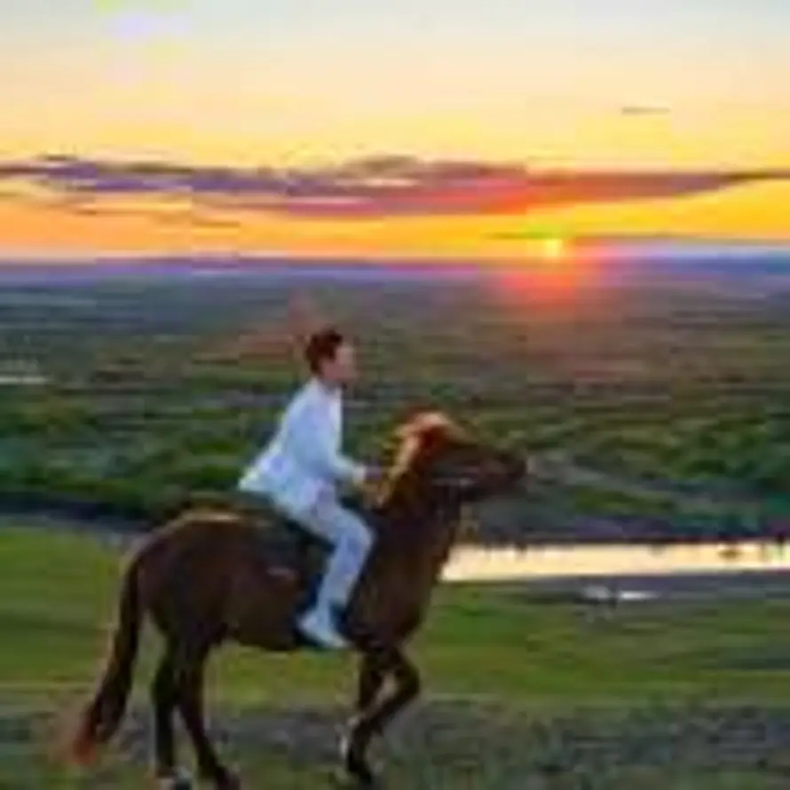 张  乐(yào)天的头像