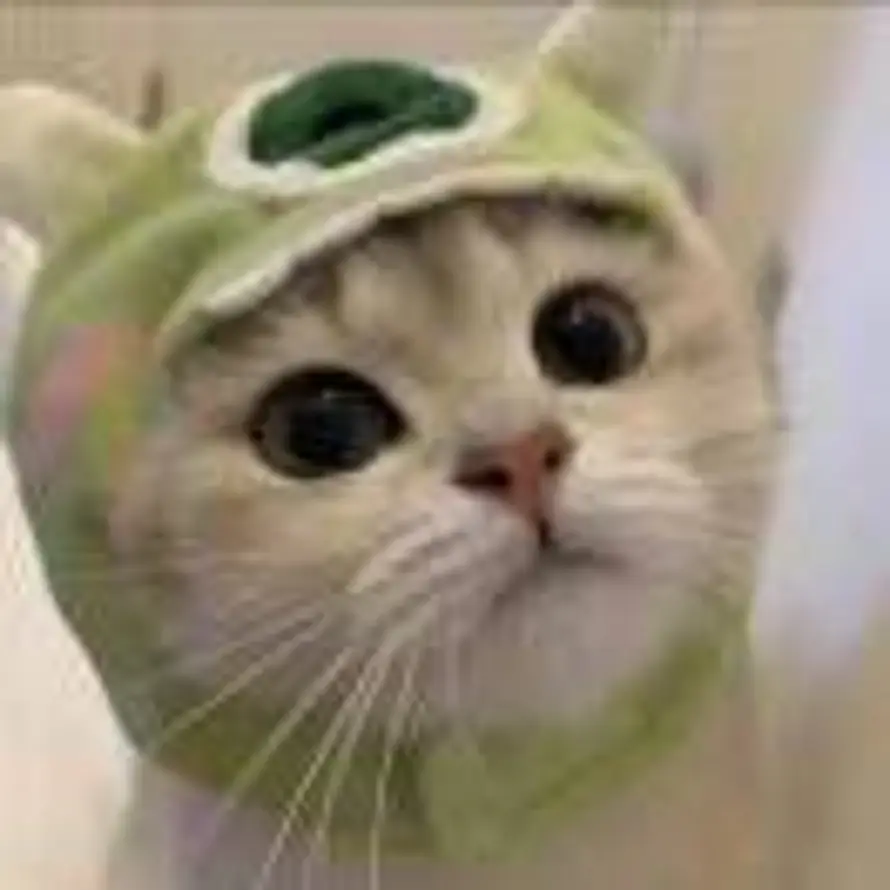 执念阁界的头像